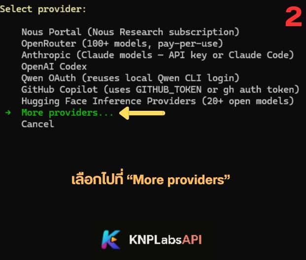 ขั้นตอนที่ 2: เลือก More providers...