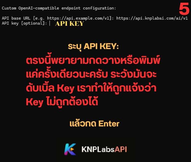 ขั้นตอนที่ 5: วาง API Token ของคุณ แล้วกด Enter